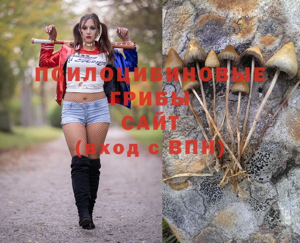 бошки Балахна