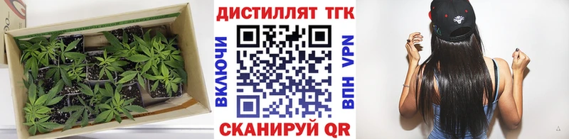 shop официальный сайт  купить  сайты  Подпорожье  ТГК вейп 
